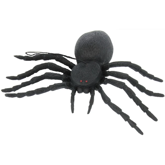 Spinne - 16 Cm 5 Spinne - 16 Cm – Bild 3