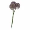 Allium - Ca. 46 Cm