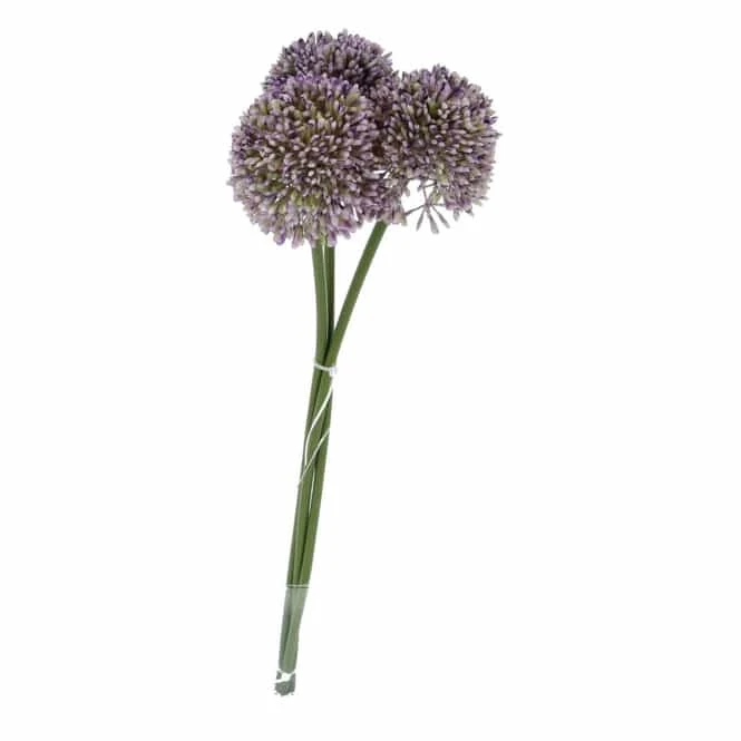 Allium - Ca. 46 Cm 3 Allium - Ca. 46 Cm