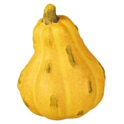 Kürbis - Aus Terrakotta - Ca. 8,5 X 8,5 X 11 Cm - 1 Stück 9 Kürbis - Aus Terrakotta - Ca. 8,5 X 8,5 X 11 Cm - 1 Stück -Wohndeko 217781 neu 2