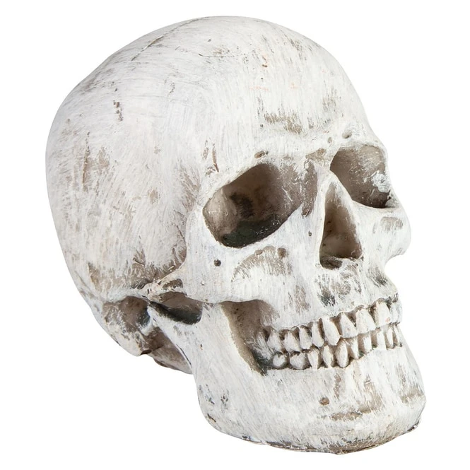 Totenkopf - Aus Keramik - Ca. 9,5 X 6,5 X 7,5 Cm 4 Totenkopf - Aus Keramik - Ca. 9,5 X 6,5 X 7,5 Cm – Bild 2