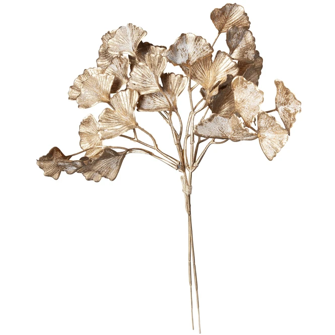 Ginkgobündel - Ca. 30 Cm 4 Ginkgobündel - Ca. 30 Cm – Bild 2