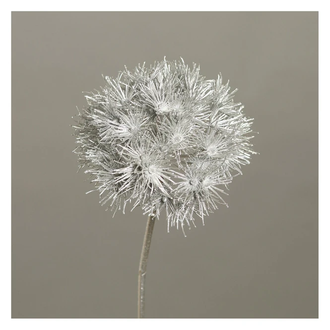 Allium - Ca. 70 Cm - Silber 3 Allium - Ca. 70 Cm - Silber