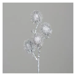 Fruchtstand - Ca. 62 Cm