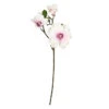 Magnolienzweig - Ca. 36 Cm - Rosa 1 Magnolienzweig - Ca. 36 Cm - Rosa -Wohndeko 235616 neu