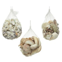 Streudeko - Muscheln - 1 Beutel 10 Streudeko - Muscheln - 1 Beutel -Wohndeko 235795 1