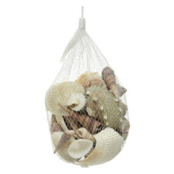 Streudeko - Muscheln - 1 Beutel 9 Streudeko - Muscheln - 1 Beutel -Wohndeko 235795 4