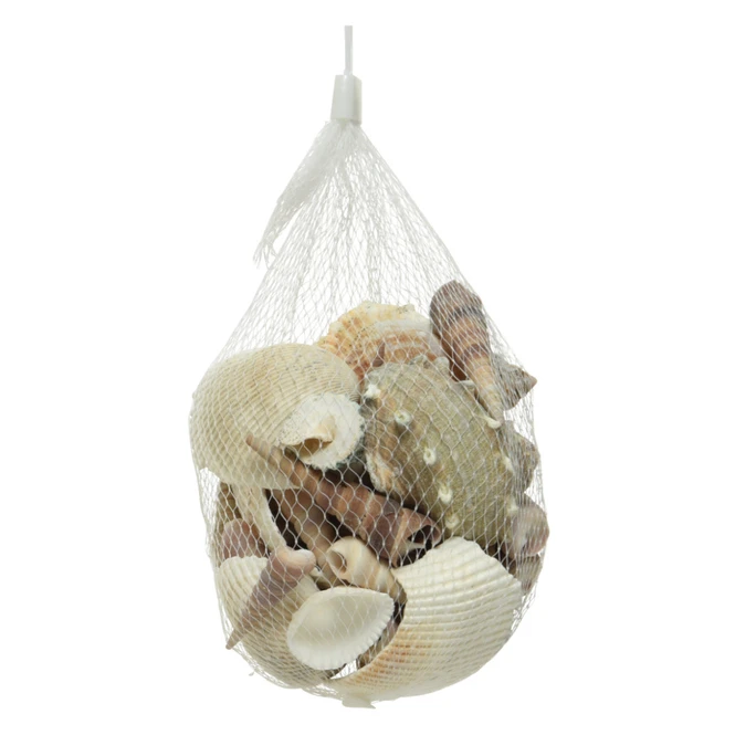 Streudeko - Muscheln - 1 Beutel 5 Streudeko - Muscheln - 1 Beutel – Bild 3