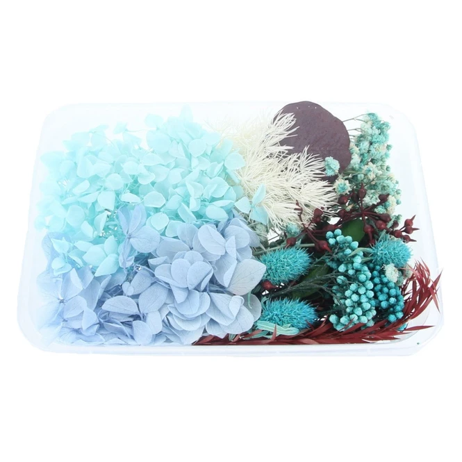 Streudeko - Trockenblumen - Türkis 3 Streudeko - Trockenblumen - Türkis