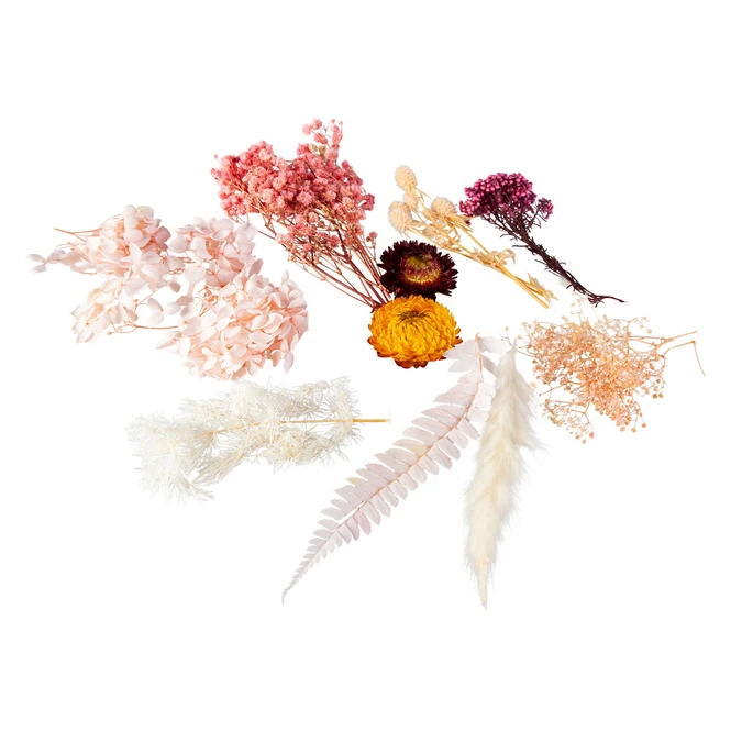 Streudeko - Trockenblumen - Rosa 3 Streudeko - Trockenblumen - Rosa