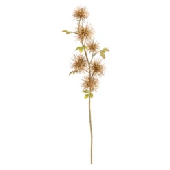 Hamamelis - Ca. 51 Cm - Braun