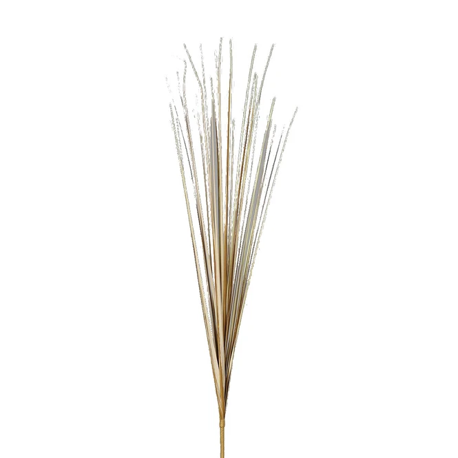 Isolepsis Gras - Ca. 70 Cm - Trocken-Optik 3 Isolepsis Gras - Ca. 70 Cm - Trocken-Optik