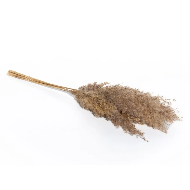 Dekogras - Ca. 75 Cm - Braun 3 Dekogras - Ca. 75 Cm - Braun