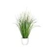 Gras Fruchtstand - Creme - Ca. 48 Cm 1 Gras Fruchtstand - Creme - Ca. 48 Cm -Wohndeko 242973 4027234992211 dpi gras mit fruchtstand 01