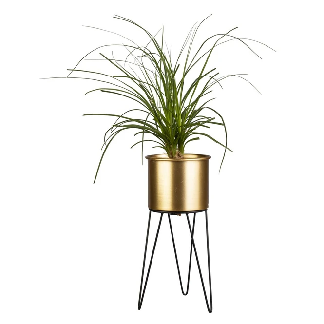 Pflanztopf Mit Ständer - Gold/schwarz - Aus Metall - Ca. 16 X 14 X 33 Cm 4 Pflanztopf Mit Ständer - Gold/schwarz - Aus Metall - Ca. 16 X 14 X 33 Cm – Bild 2