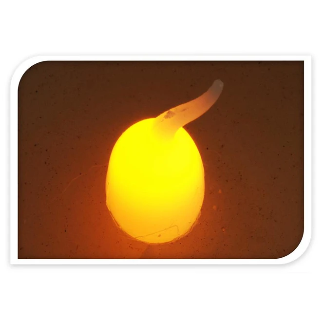 LED-Kerze - Verschiedene Größen 3 LED-Kerze - Verschiedene Größen